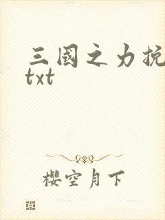 三国之力挽狂澜txt