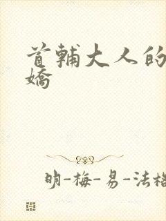 首辅大人的掌心娇