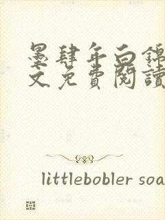 墨肆年白锦瑟全文免费阅读 小说