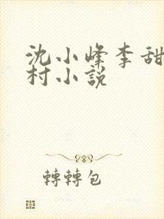 沈小峰李甜的乡村小说