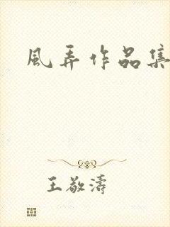 风弄作品集下载