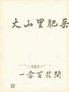 大山里肥岳小说