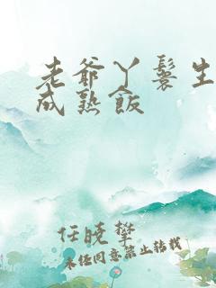 老爷丫鬟生米煮成熟饭