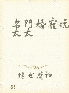 名门婚宠晚安赫太太