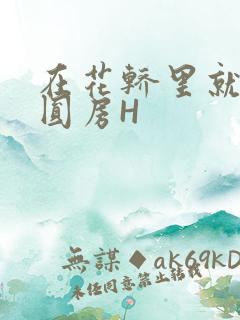 在花轿里就开始圆房H