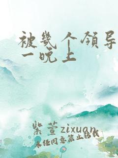 被几个领导玩弄一晚上