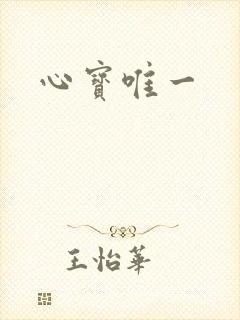 心宝唯一