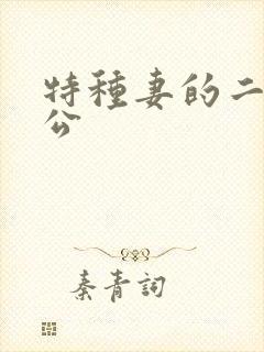 特种妻的二手老公