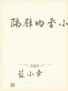隔壁肉香小说