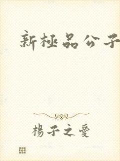 新极品公子
