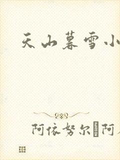 天山暮雪小说