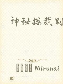 神秘总裁别玩我