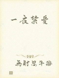 一夜禁爱