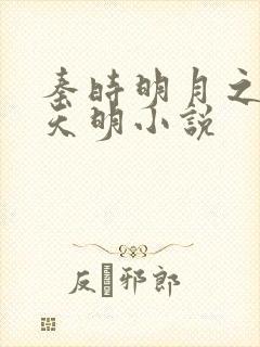 秦时明月之夜尽天明小说