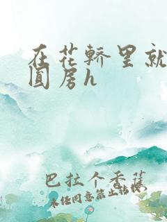 在花轿里就开始圆房h