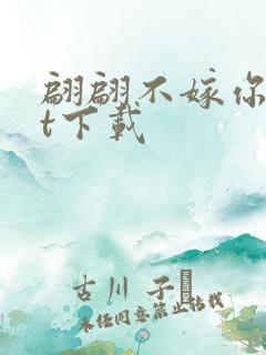 翩翩不嫁你txt下载