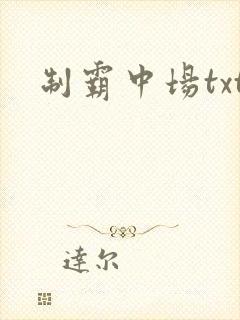 制霸中场txt