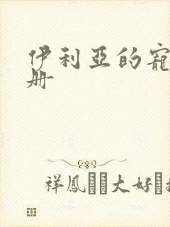 伊利亚的宠物手册