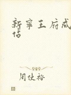 新宁王府成人网站