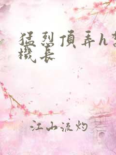 猛烈顶弄h禁欲机长