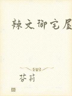 辣文御宅屋