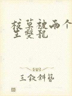 校草被两个体育生双龙