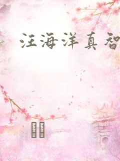 汪海洋真智师太