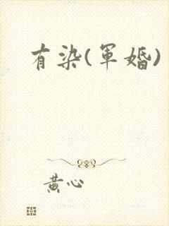 有染(军婚)