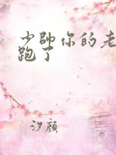 少帅你的老婆又跑了