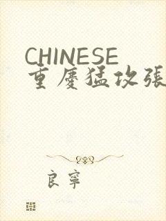 CHINESE重庆猛攻张先生