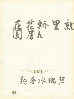 在花轿里就开始圆房h