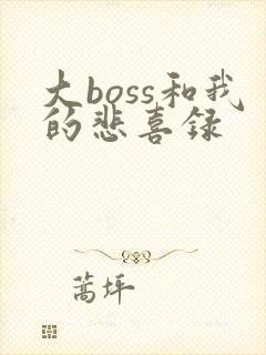 大boss和我的悲喜录