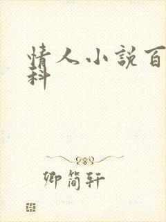 情人小说百度百科
