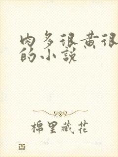 肉多很黄很细致的小说