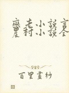 恋老小说言情网农村小说全文阅读