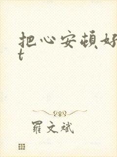 把心安顿好txt