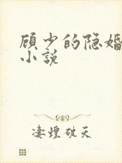 顾少的隐婚罪妻小说