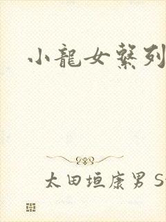 小龙女系列小说