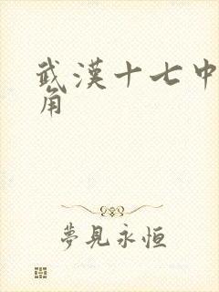 武汉十七中女主角