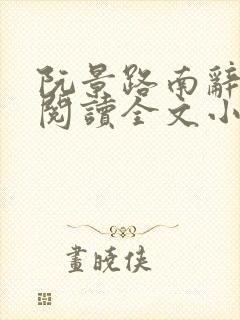 阮景路南辞免费阅读全文小说