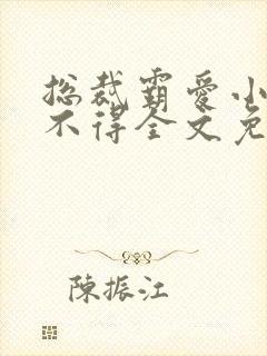 总裁霸爱小妻惹不得全文免费阅读笔趣阁