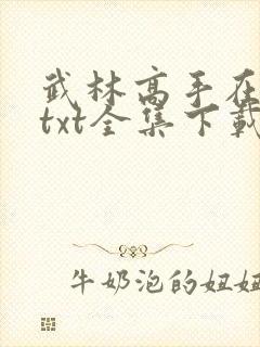 武林高手在异世txt全集下载