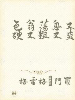 色翁荡息又大又硬又粗又爽