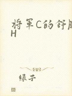 将军C的舒服么H
