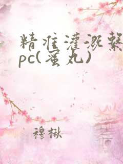 精准灌溉系统hpc(蜜丸)