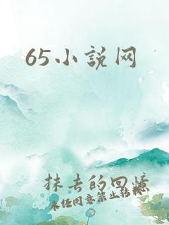 65小说网