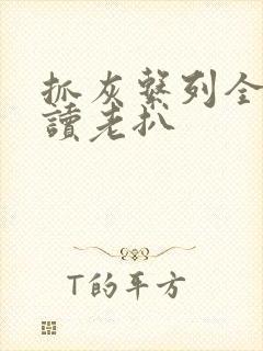 抓灰系列全文阅读老扒