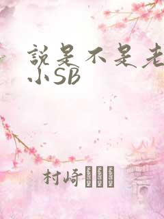 说是不是老公的小SB