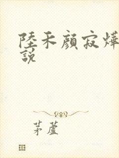 陆禾颜寂烨霖小说