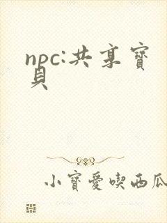 npc:共享宝贝